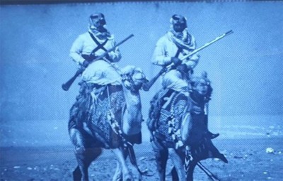 تعد "الهجن" وسيلة المواصلات الأولى للهجانة في السعودية ومنها اكتسبت مسماها. (المركز الإعلامي لوزارة الداخلية)
