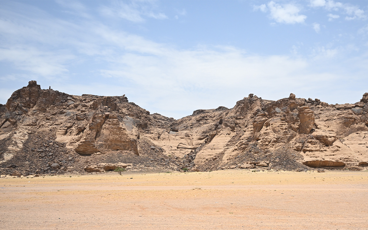 الفنون الصخرية في منطقة حائل