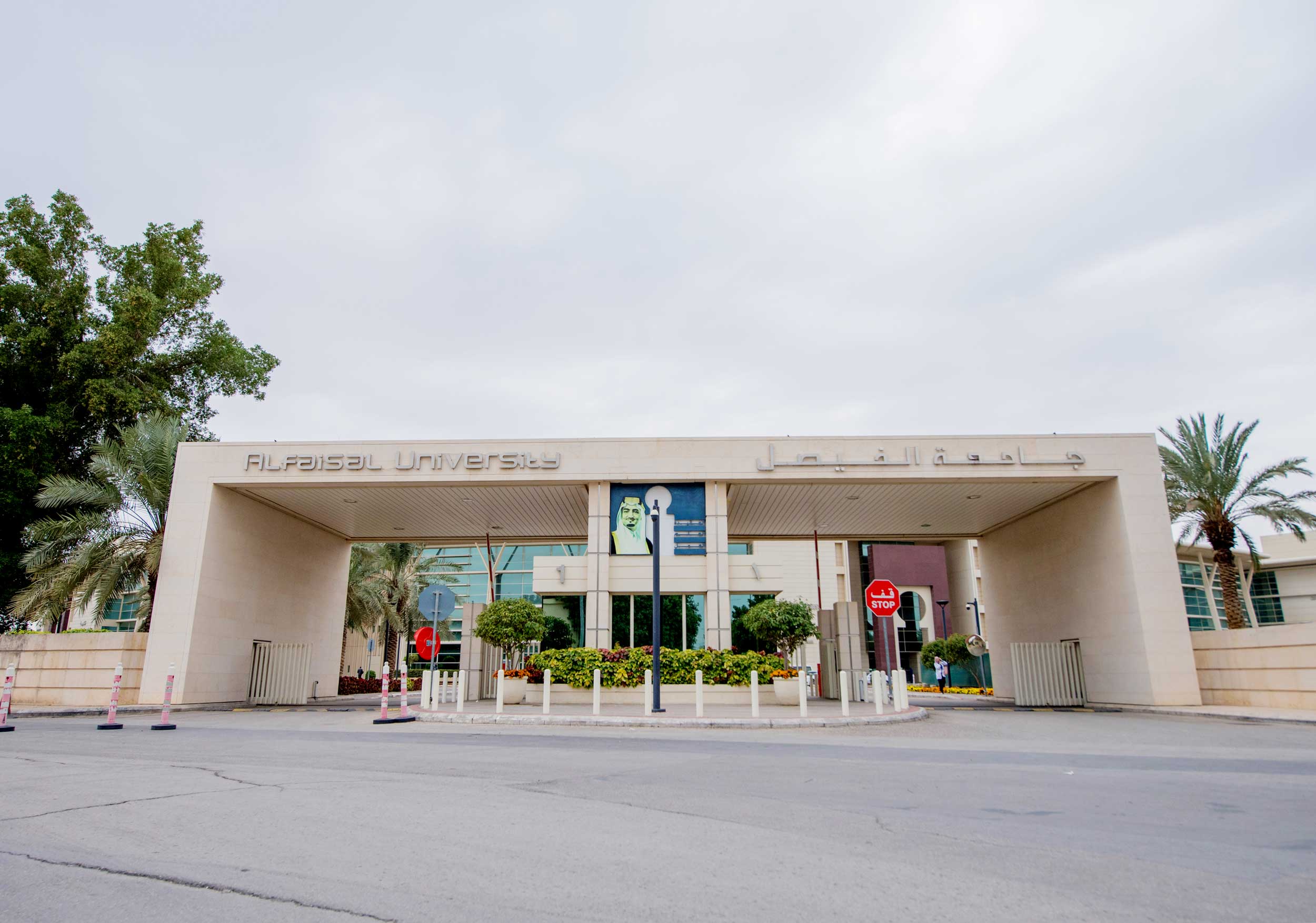 Education in the Kingdom