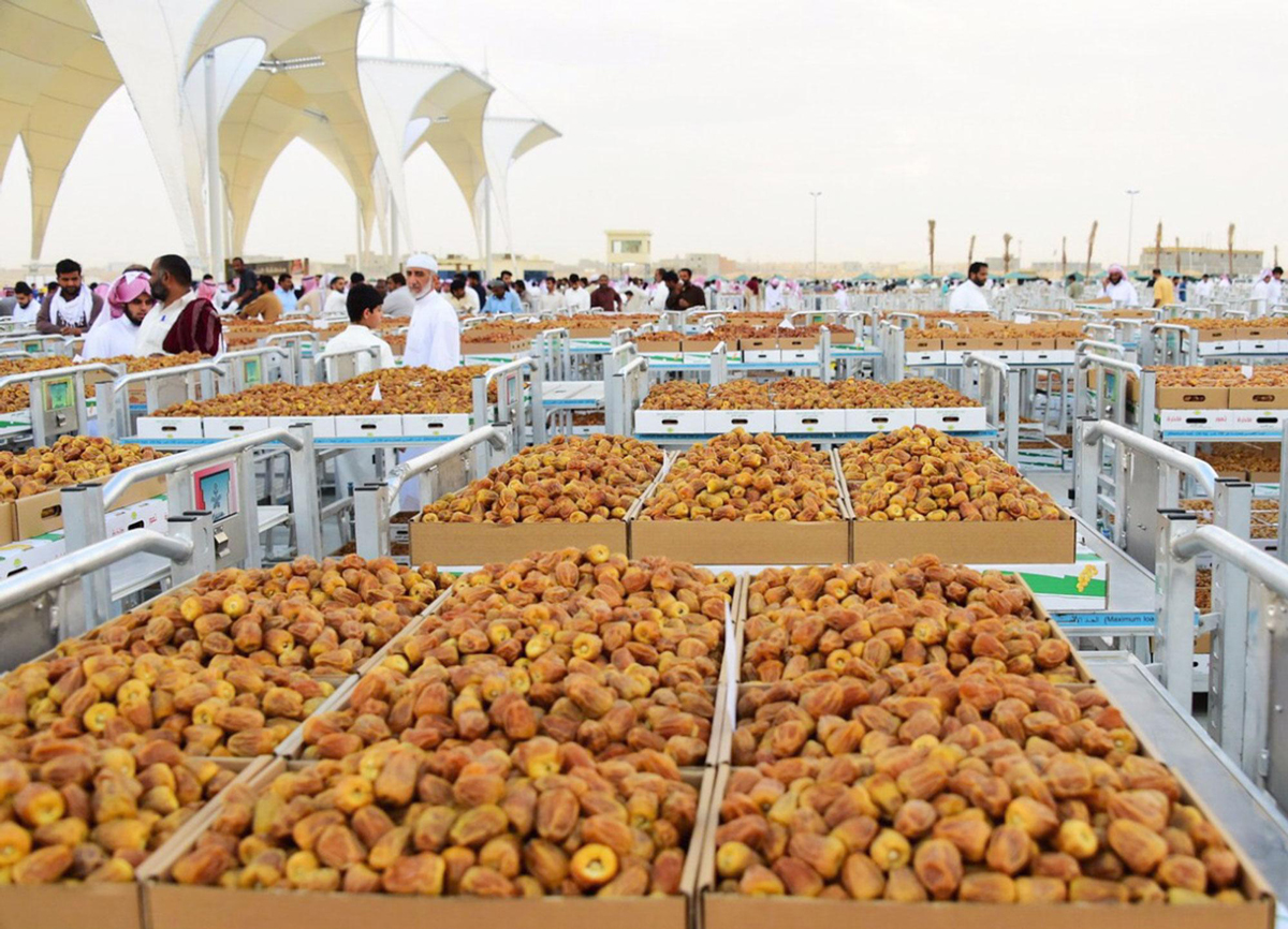 Dates in Saudi Arabia - Saudipedia