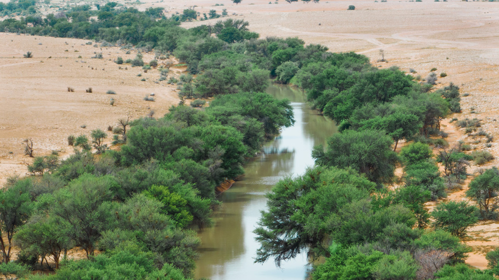 King Abdulaziz Royal Reserve