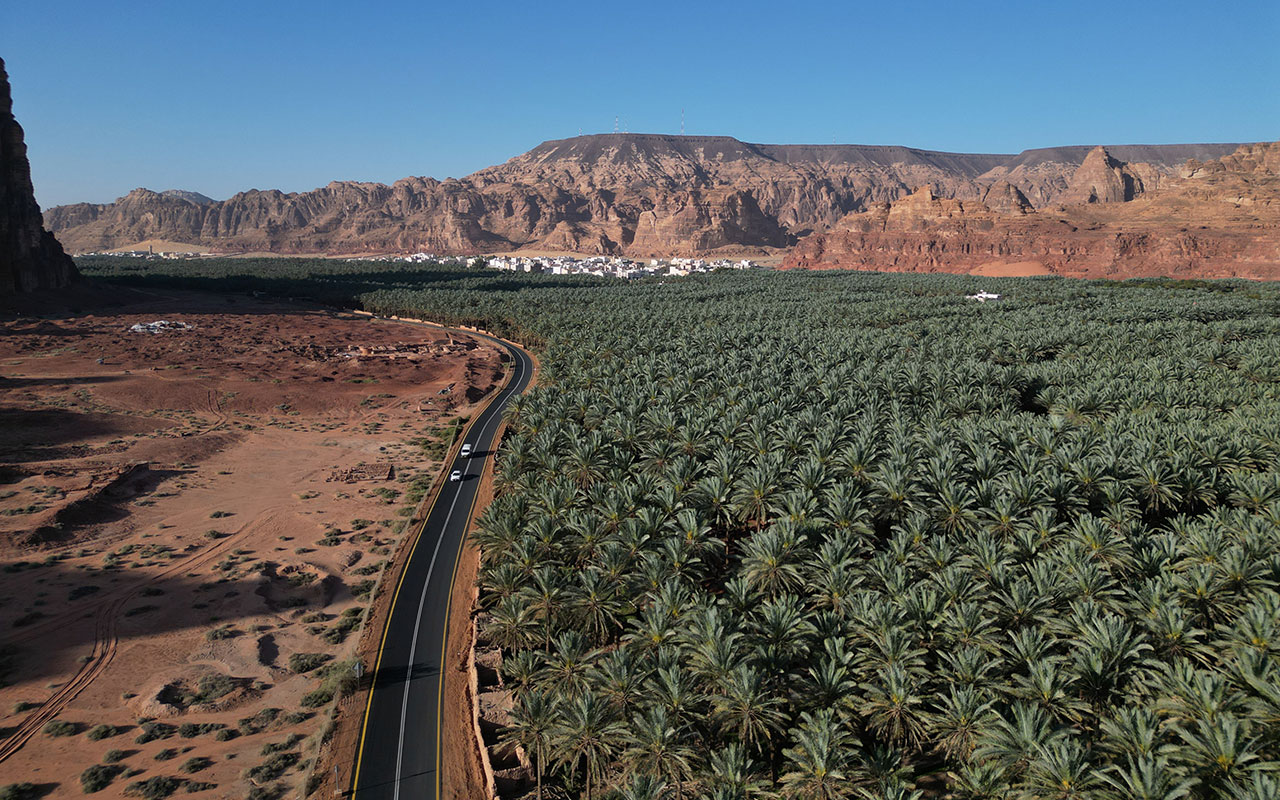 واحة نخيل بين الجبال في العلا