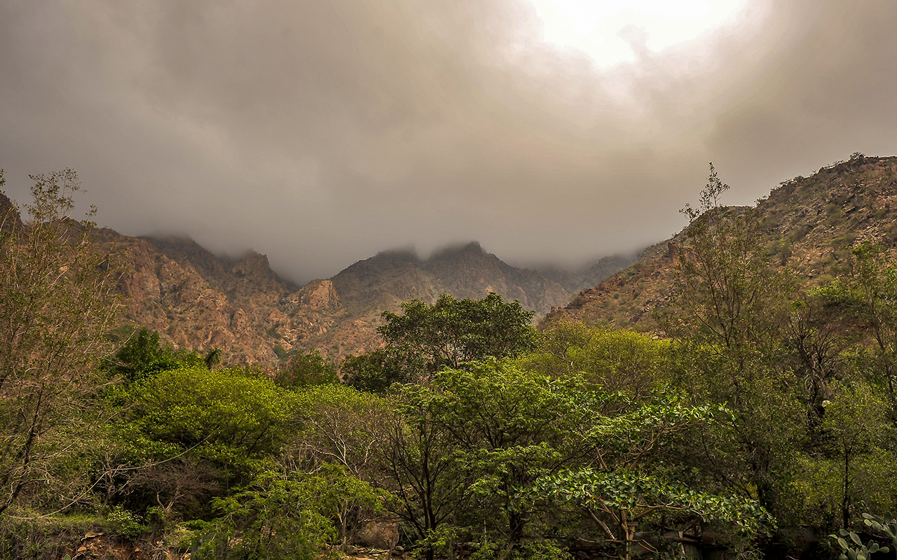 Environmental Protection in the Kingdom