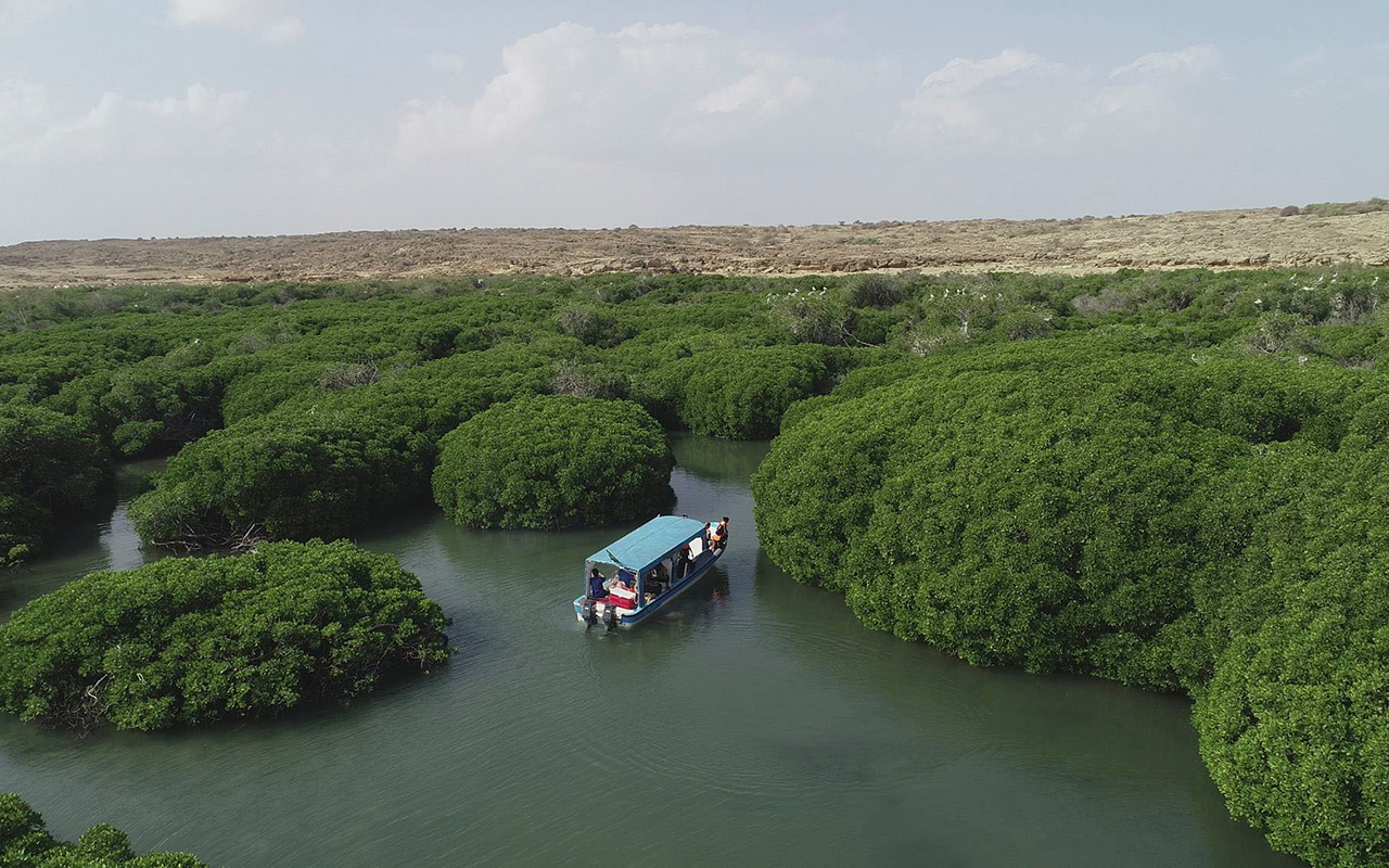 Environmental Protection in the Kingdom