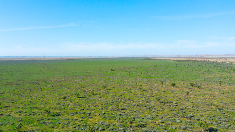 محمية الملك عبدالعزيز الملكية