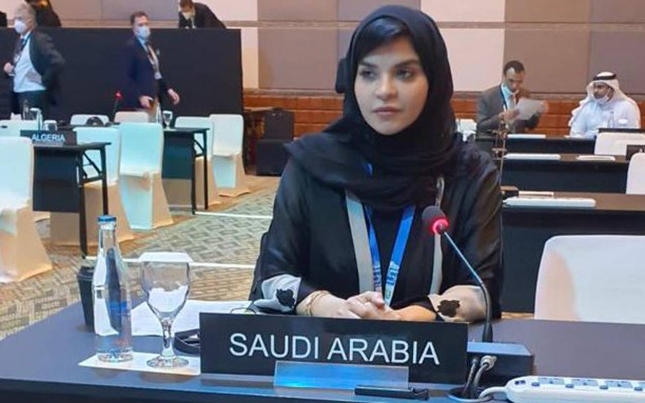 Women's Rights in the Kingdom