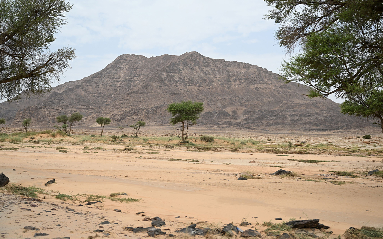 الفنون الصخرية في منطقة حائل