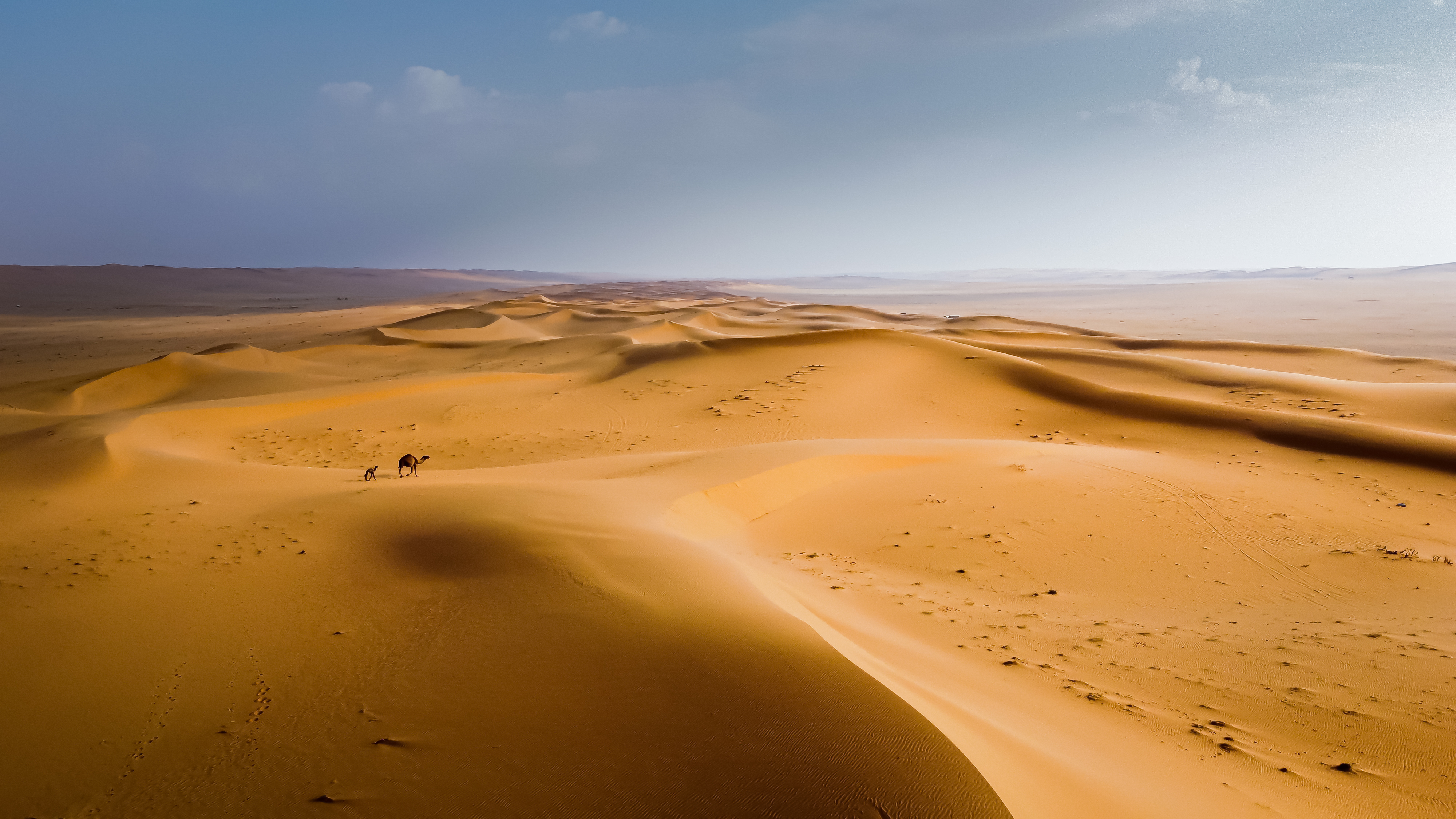 كثبان نفود العريق